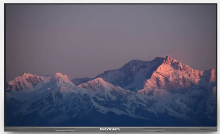 StudynLearn - 65 Inch Interactive Flat Panel | Android 14 | 8GB, 128 GB| Octa-Core |