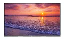 StudynLearn - 75 Inch Interactive Flat Panel | Android 14 | 8GB, 128 GB| Octa-Core